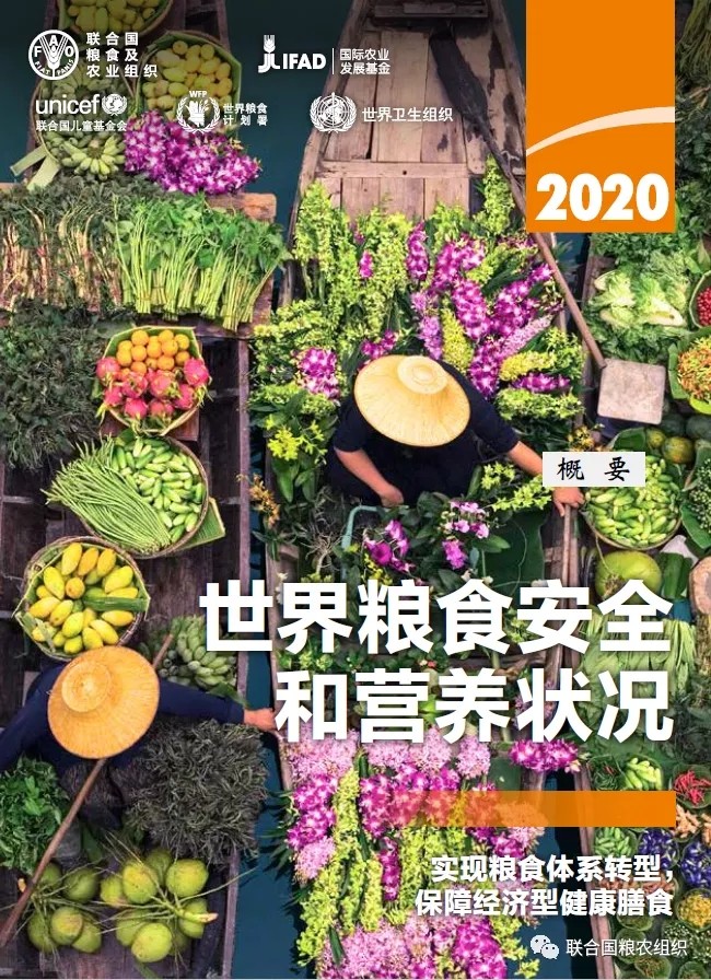 2020《世界粮食安全和营养状况》发布！