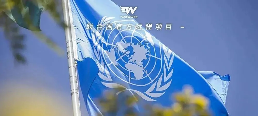 联合国官方国际人才培养项目