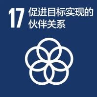 加强执行手段，重振可持续发展全球伙伴关系
