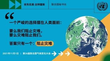 人类，请不要自掘坟墓！